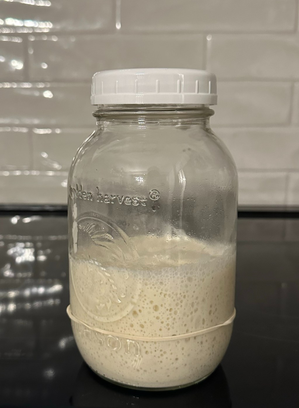 Sourdough Starter